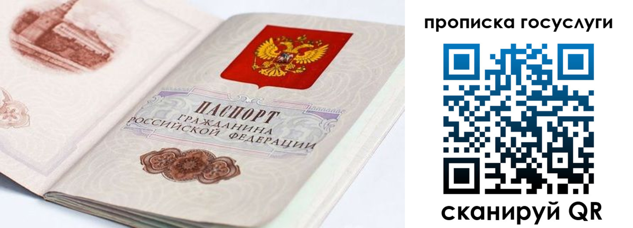 прописка регистрация в Воронежской области